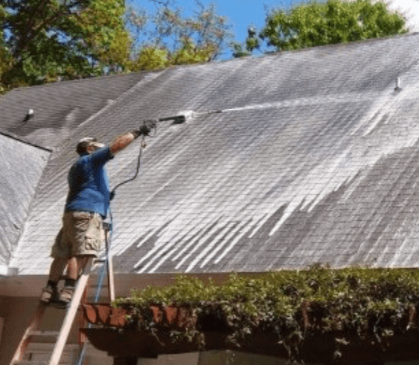 Roof Cleaning
